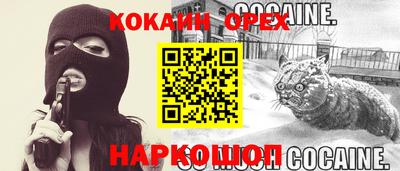 spice Новозыбков
