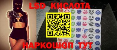 СК Новодвинск