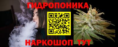 spice Новозыбков