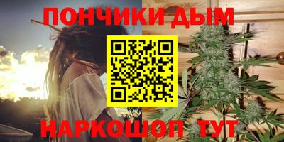 СК Новодвинск