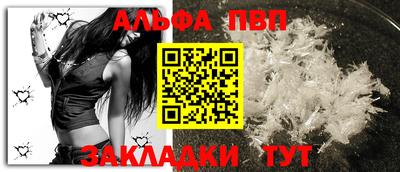 СК Новодвинск