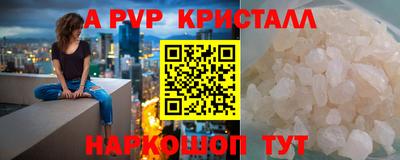 СК Новодвинск