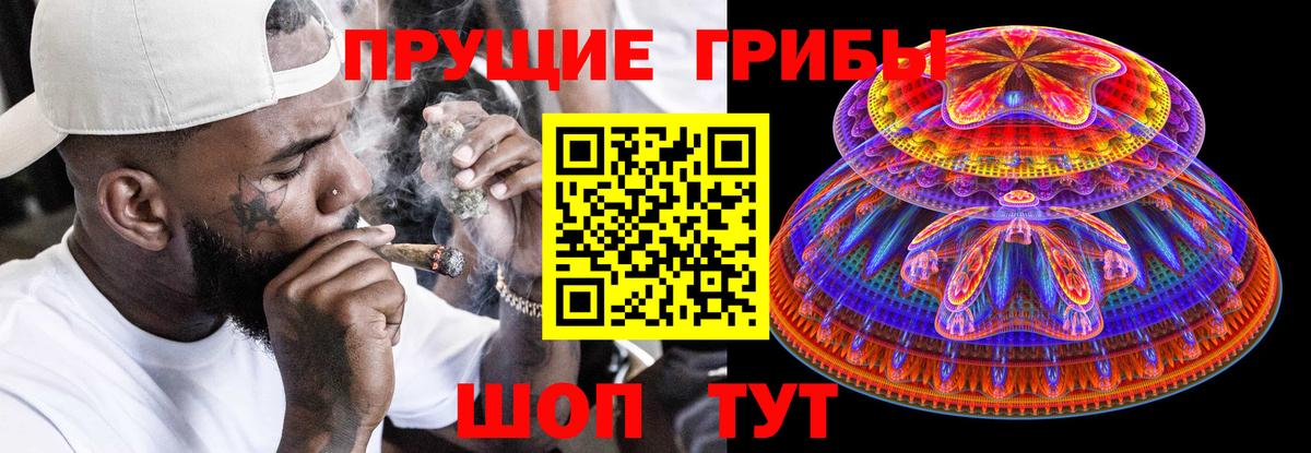 Свободный  Псилоцибиновые грибы мухоморы  Вход с VPN 